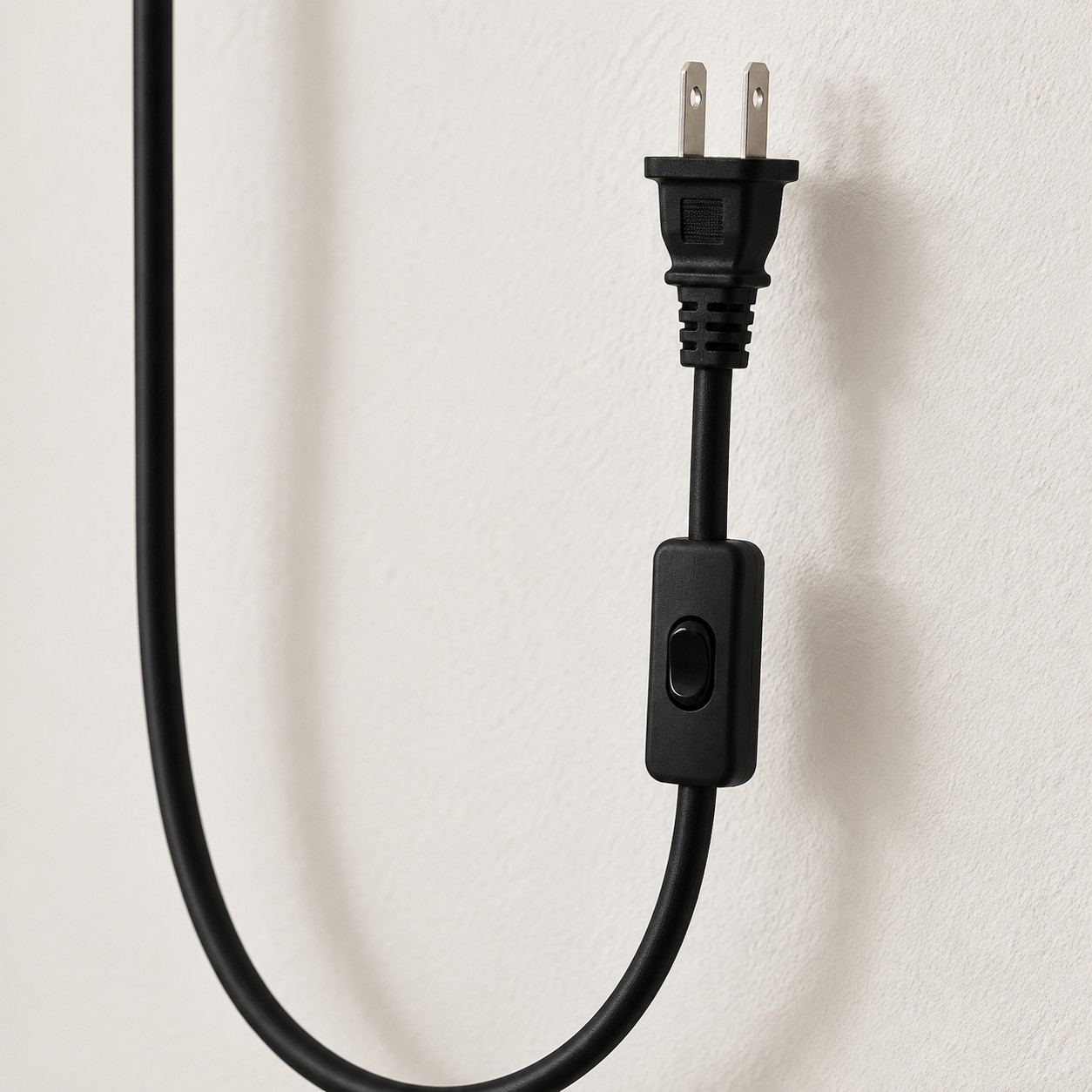 Close-up of the plug and inline on-off switch