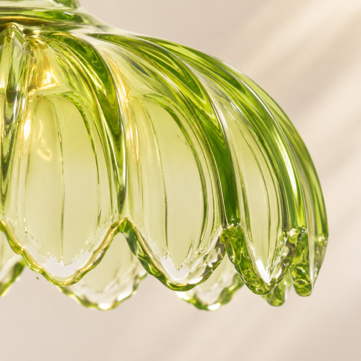 Close-up of green fluted flower glass petals