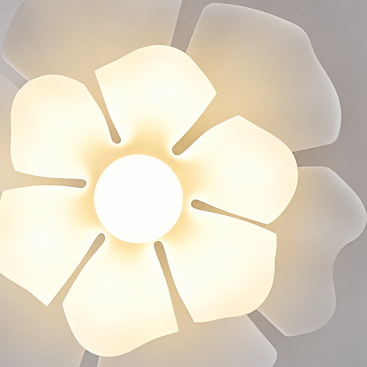 Luce calda filtra attraverso i petali acrilici