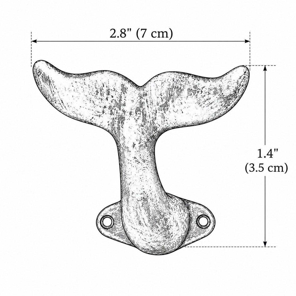 Schéma de la queue de baleine
