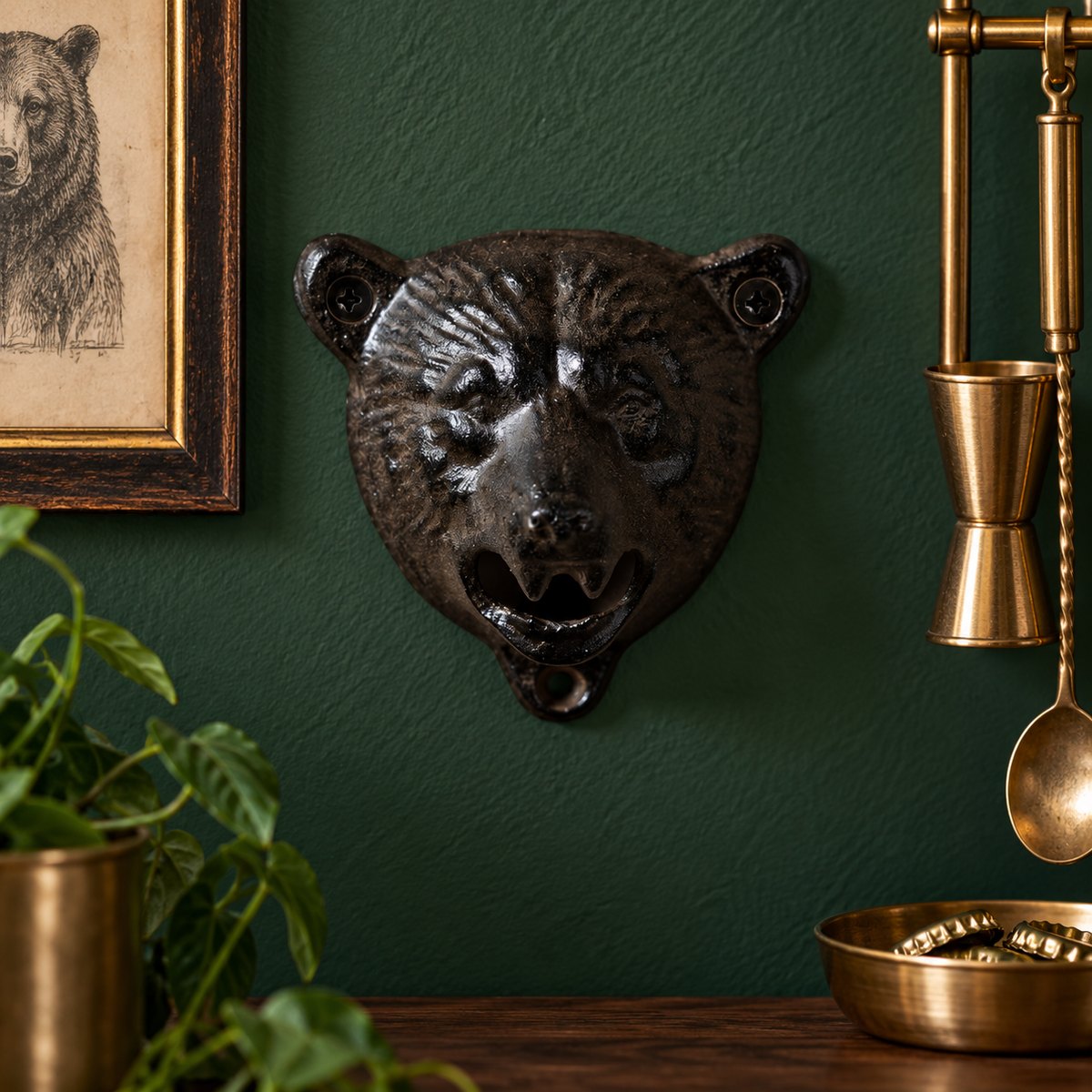 Bear opener on a deep green wall